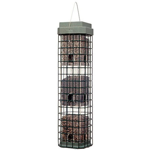 PERKY PET EVENSEED BIRD FEEDER Squirrel Dilemma Wild Grey 1.8 kg 104 Seed PERKY PET EVENSEED BIRD FEEDER Squirrel Dilemma Wild Grey 1.8 kg 104 Seed